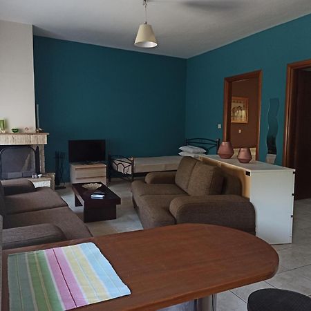 Litochoro Apartment المظهر الخارجي الصورة